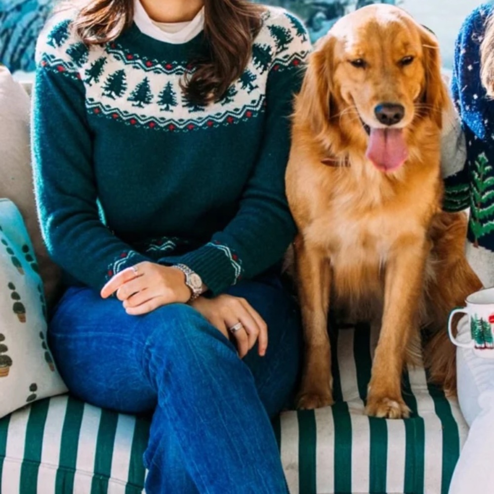 LAST AND FINAL ONE! Northern Pines Evergreen Sweater
English Countryside Sweater - Picture 4 of 16
